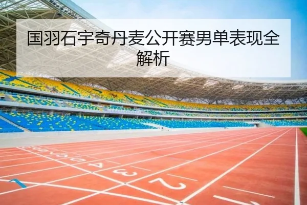 国羽石宇奇丹麦公开赛男单表现全解析
